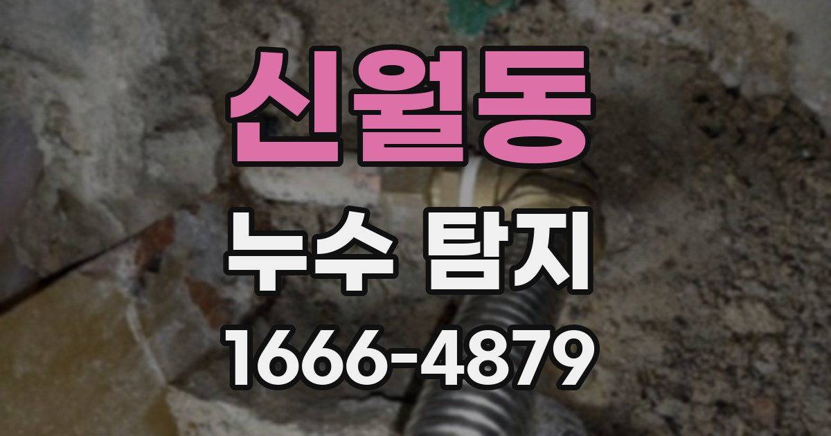 신월동 누수 탐지