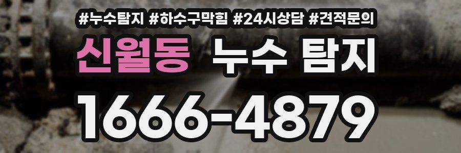 신월동 누수 탐지