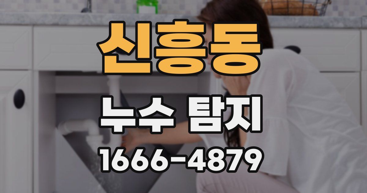 신흥동 누수 탐지