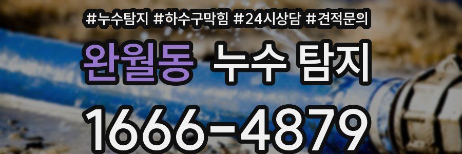 완월동 누수 탐지