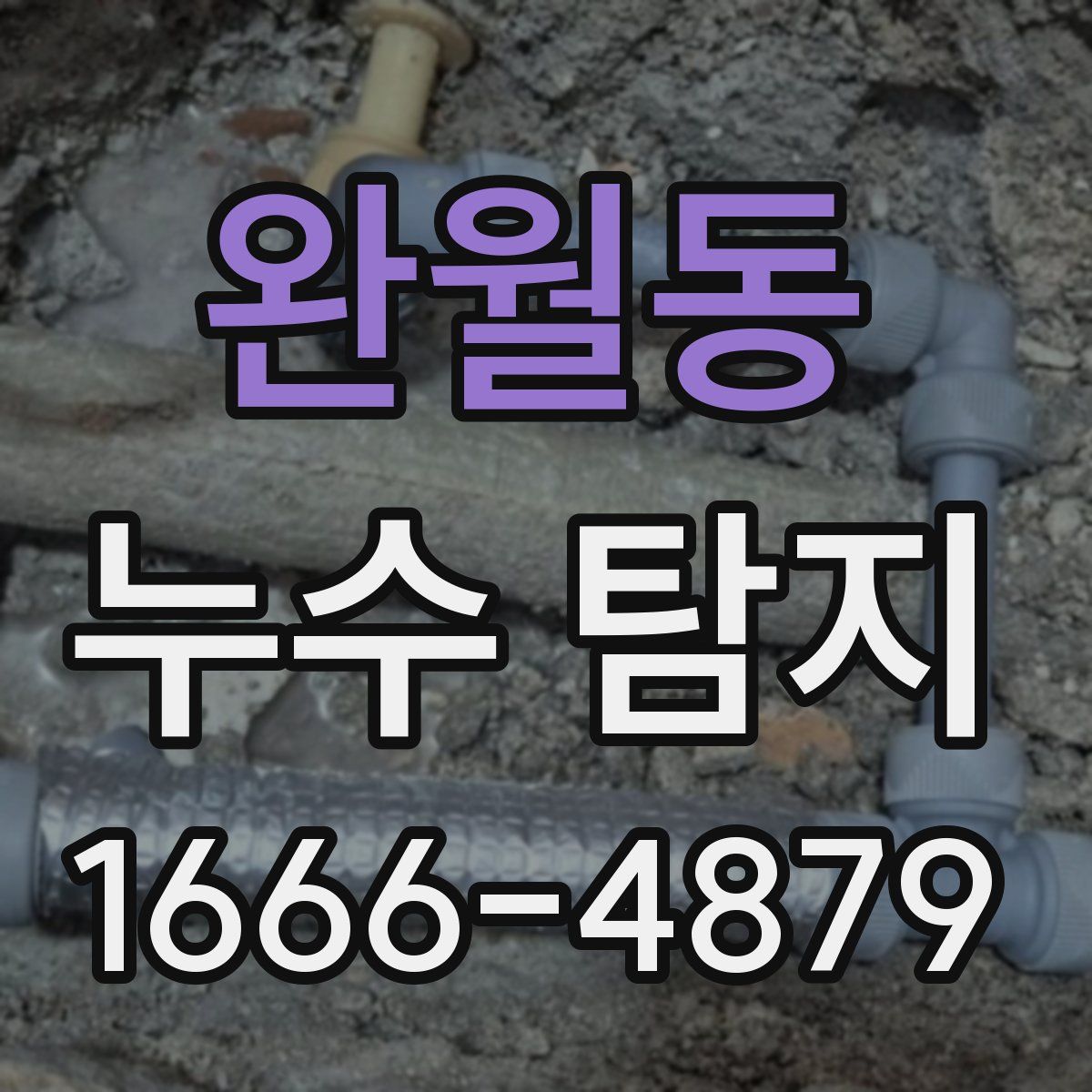 완월동 누수 탐지