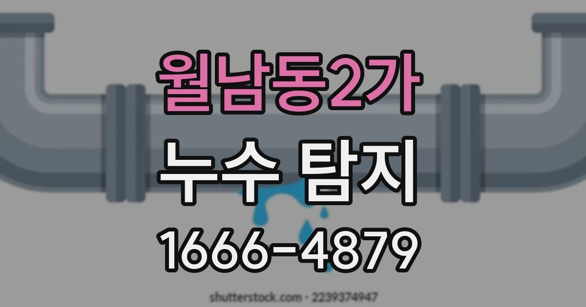 월남동2가 누수 탐지