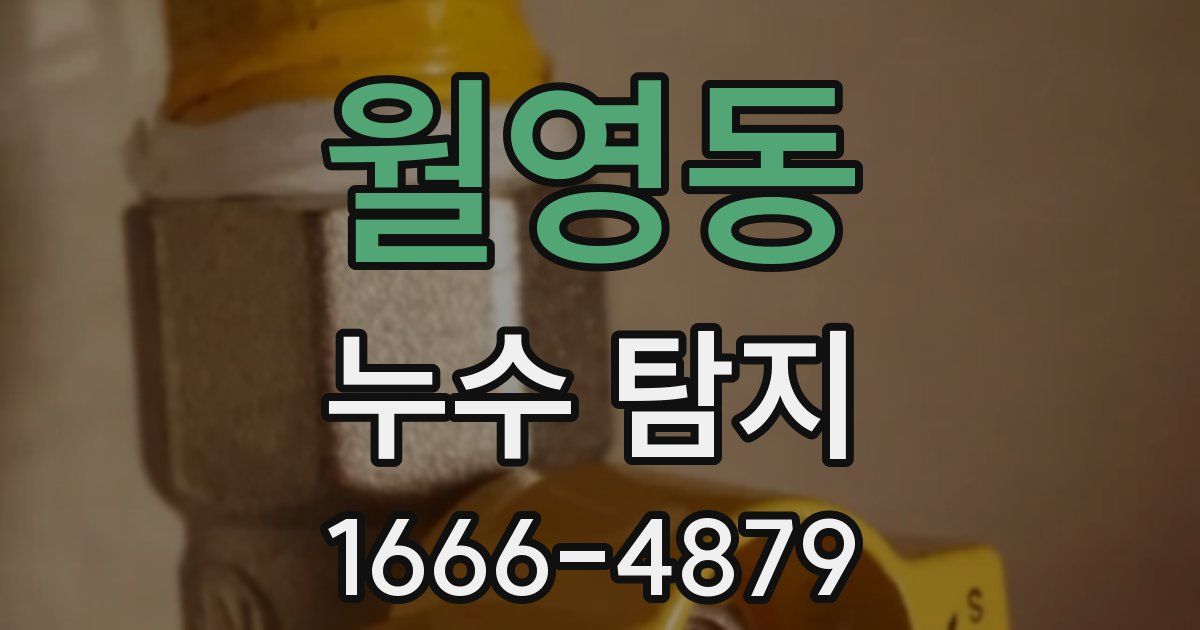 월영동 누수 탐지