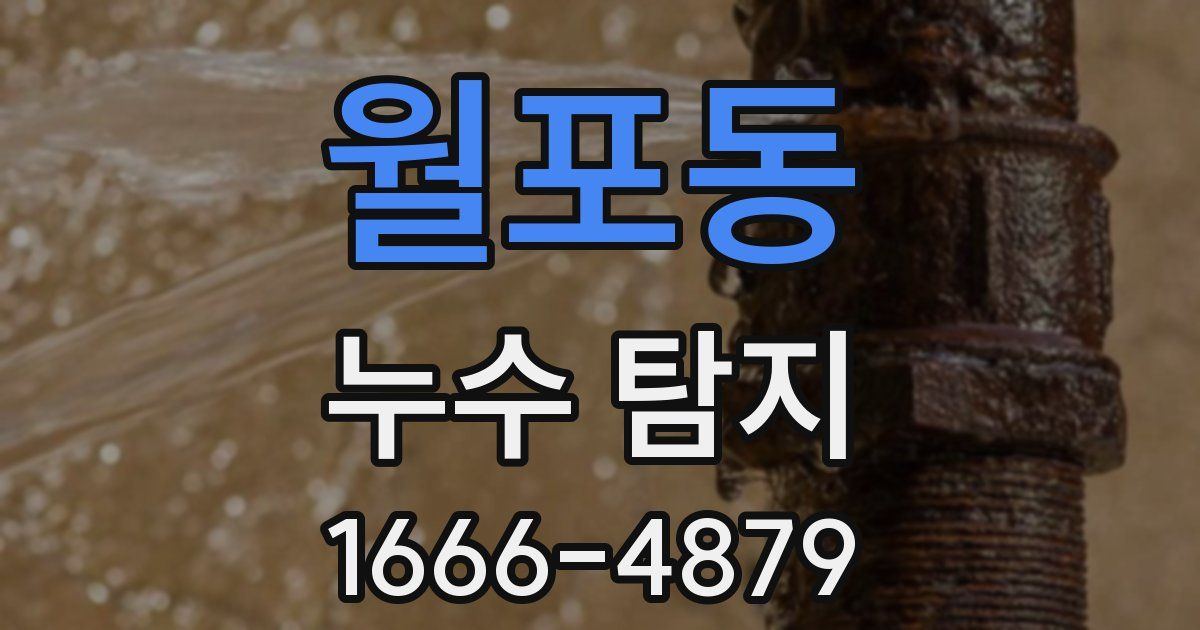 월포동 누수 탐지