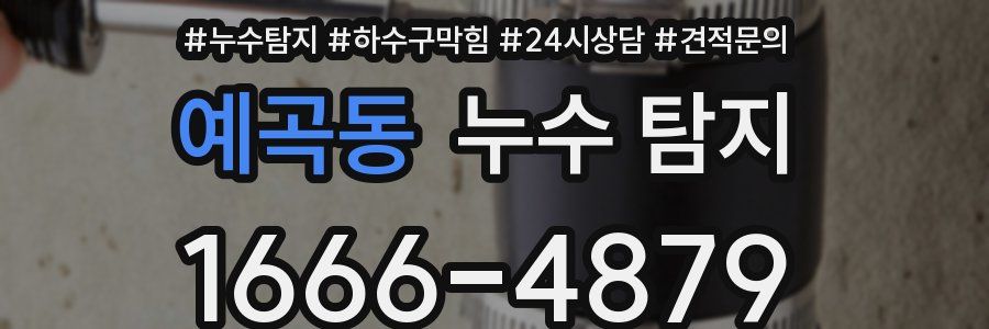 예곡동 누수 탐지