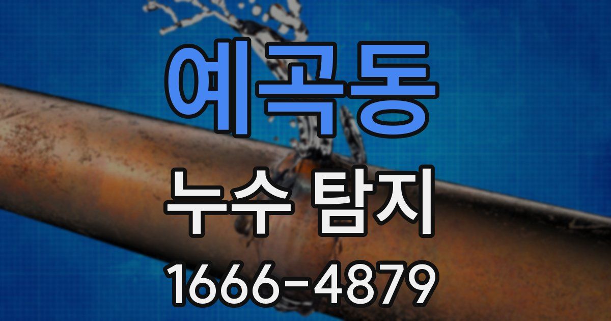 예곡동 누수 탐지