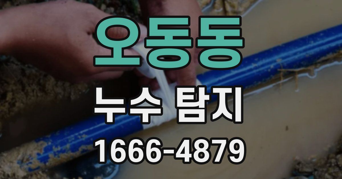 오동동 누수 탐지