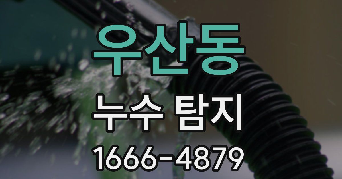 우산동 누수 탐지