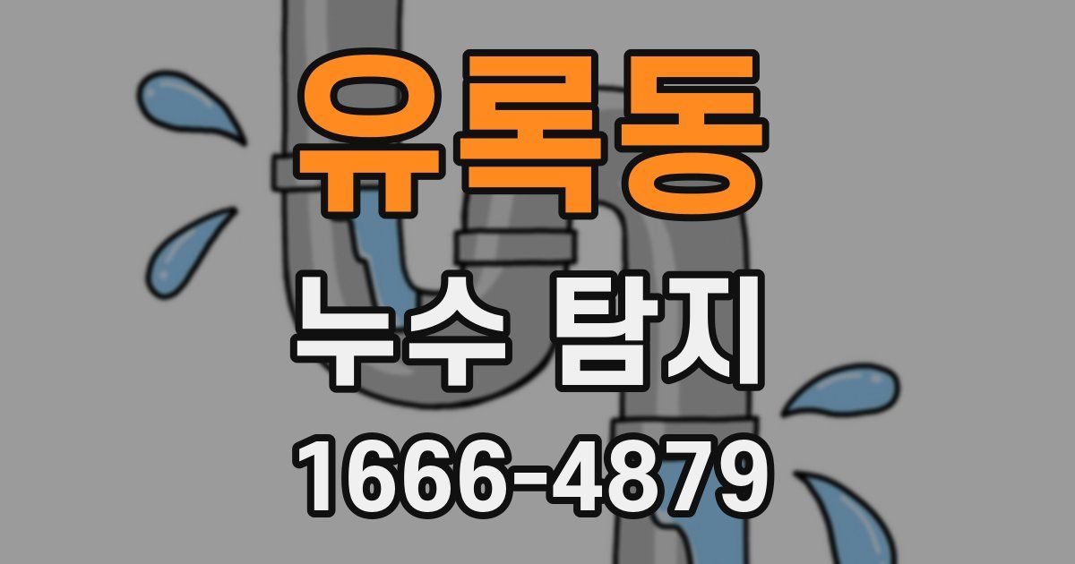 유록동 누수 탐지