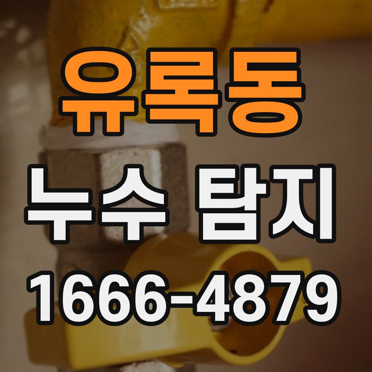 유록동 누수 탐지