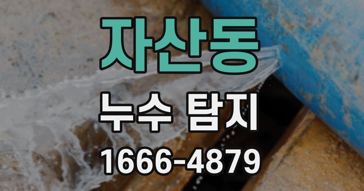 자산동 누수 탐지