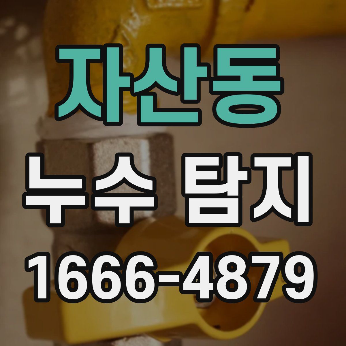자산동 누수 탐지