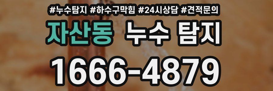 자산동 누수 탐지