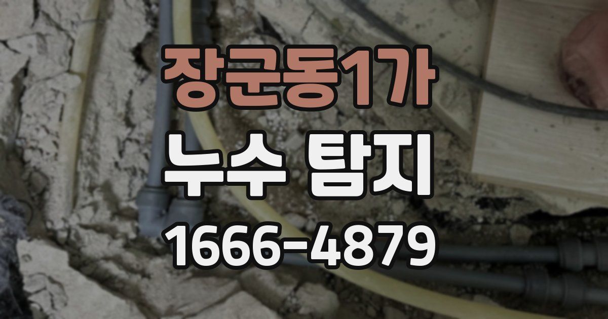 장군동1가 누수 탐지