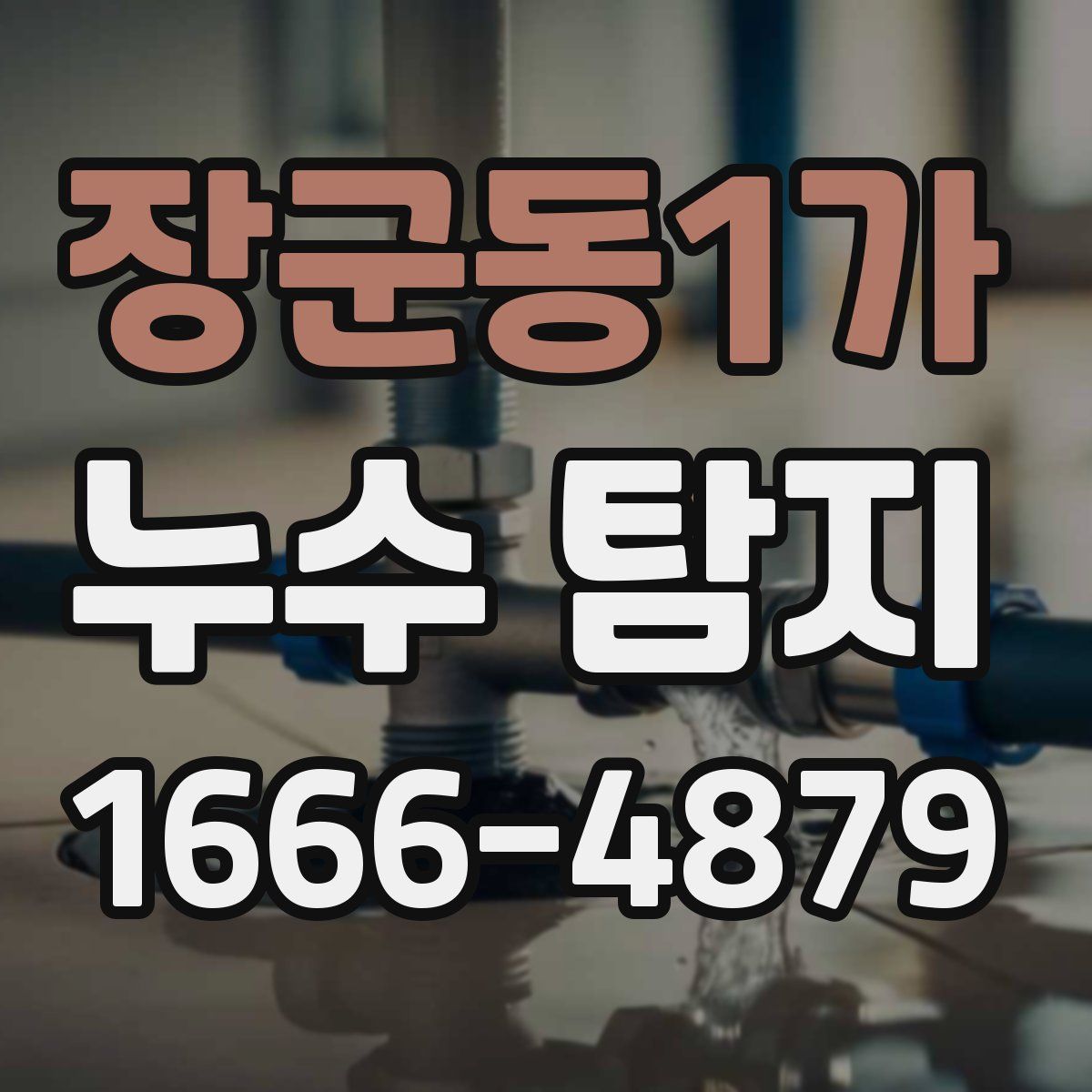 장군동1가 누수 탐지
