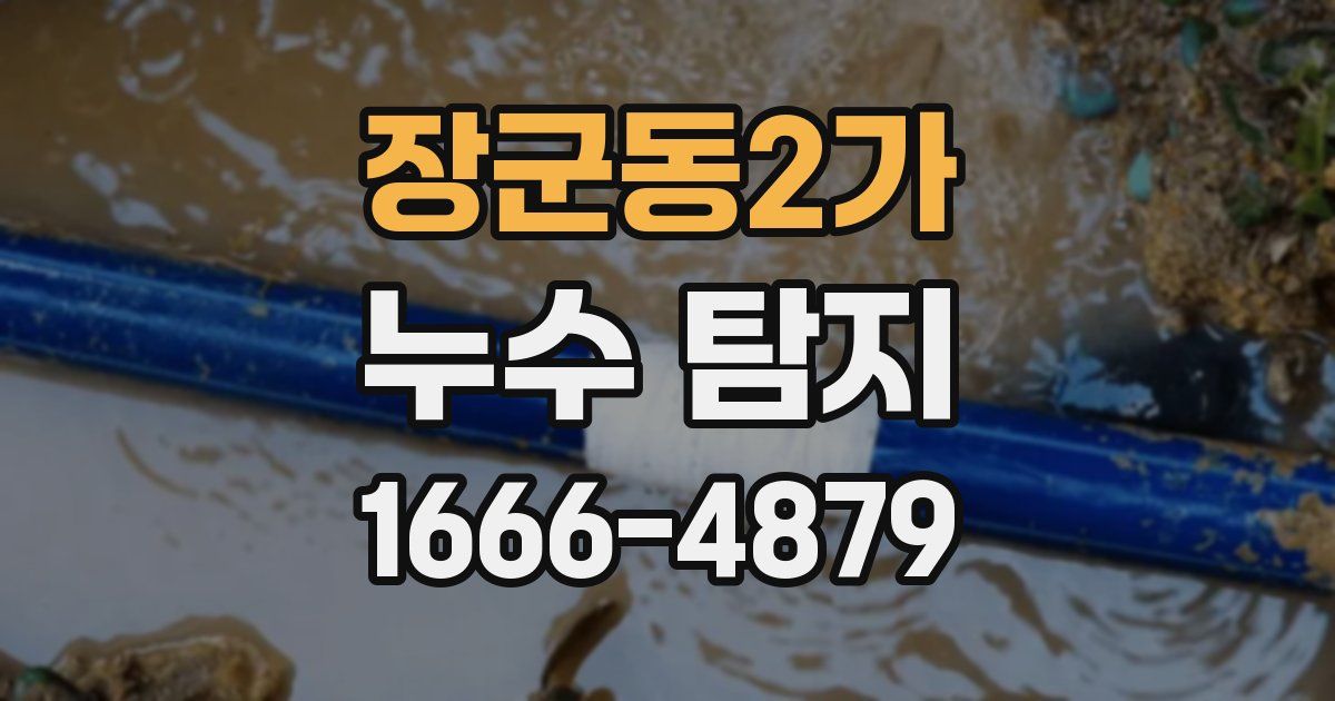 장군동2가 누수 탐지