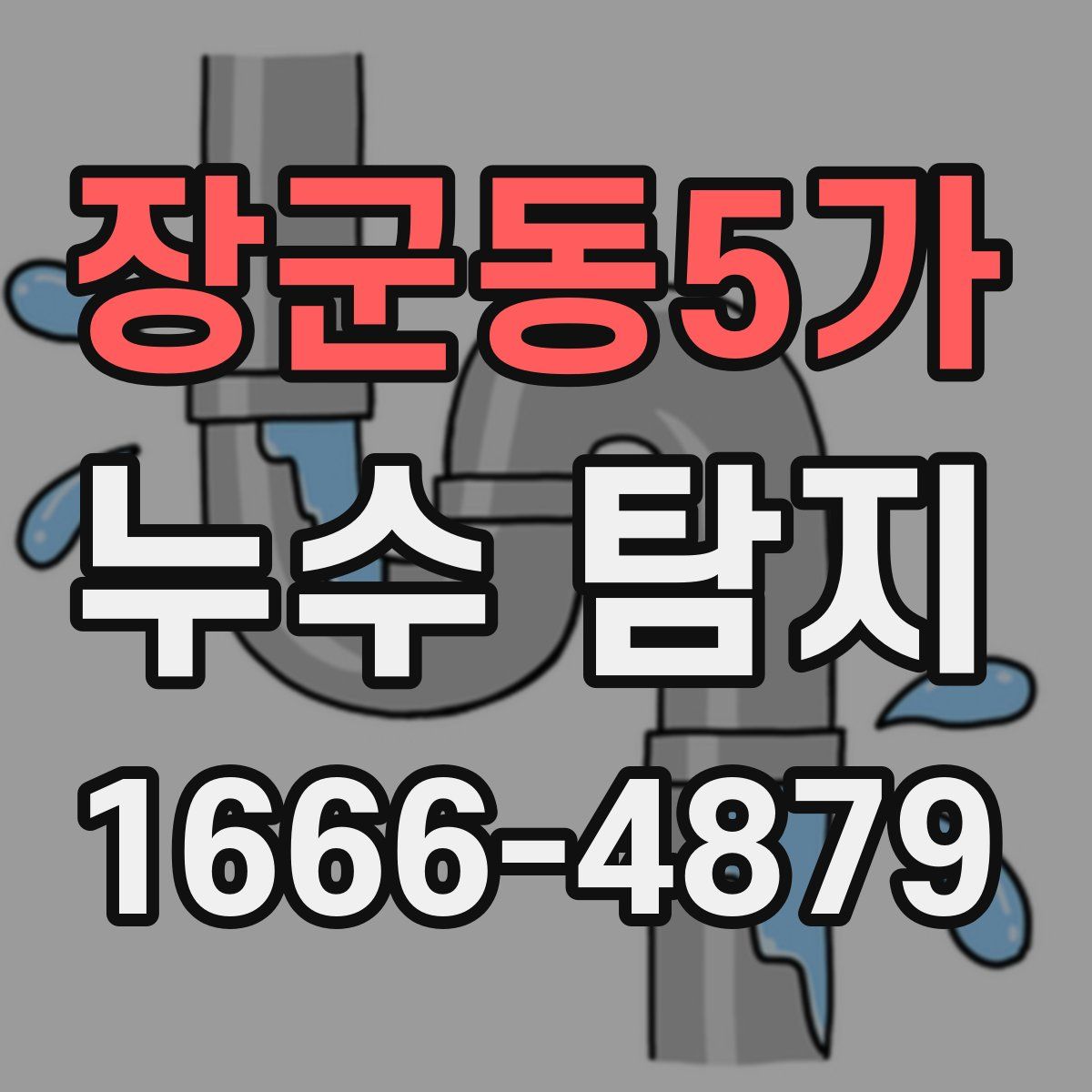 장군동5가 누수 탐지