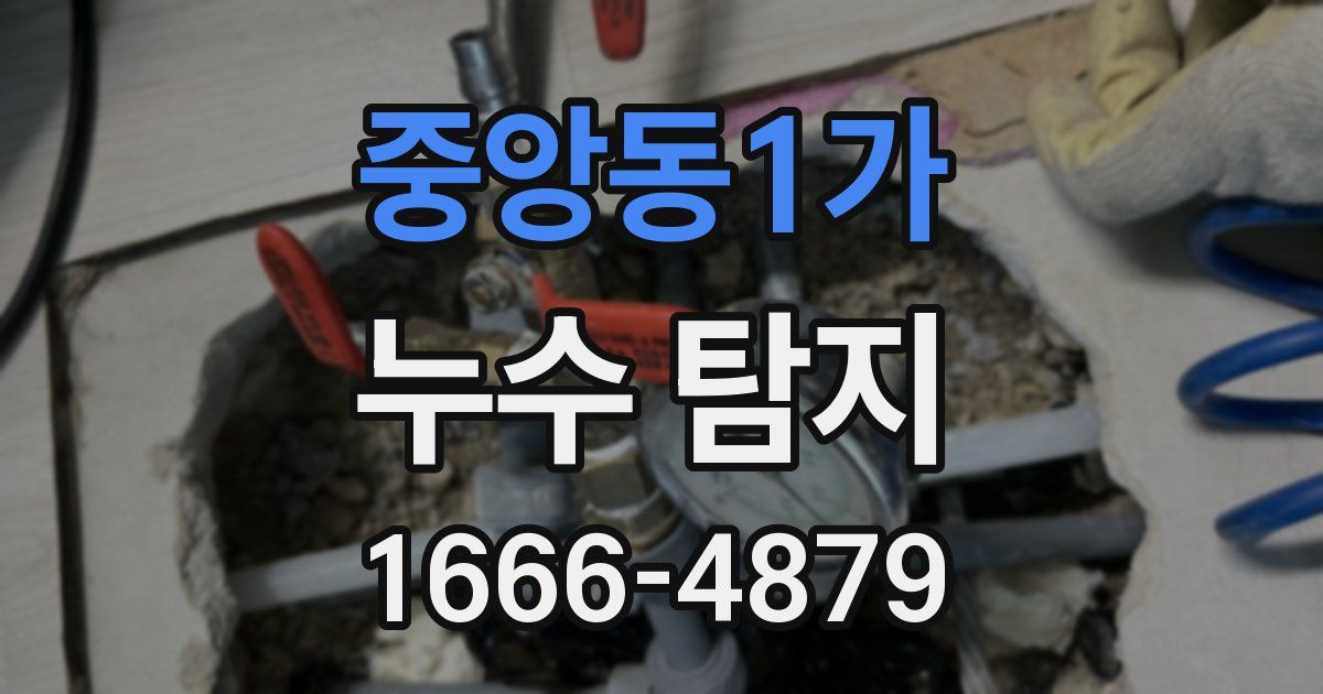 중앙동1가 누수 탐지