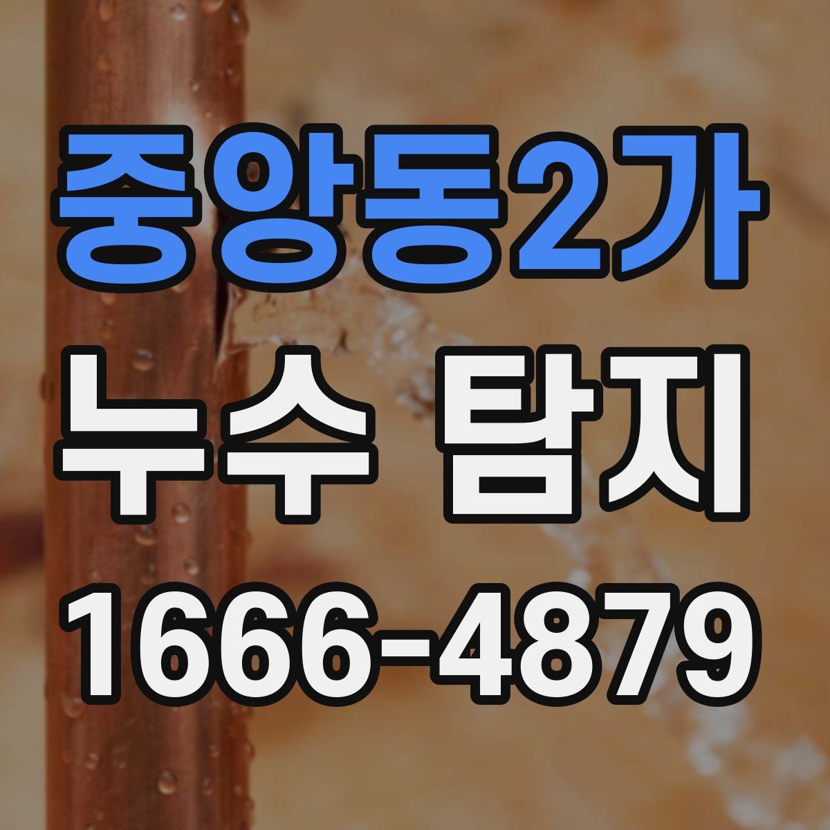 중앙동2가 누수 탐지
