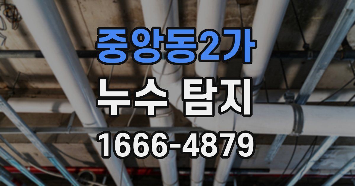 중앙동2가 누수 탐지