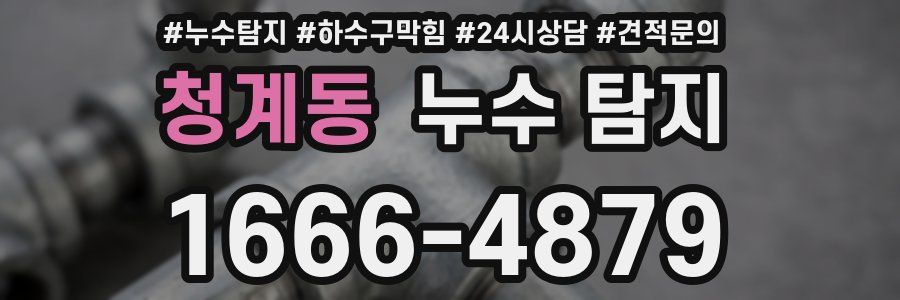 청계동 누수 탐지