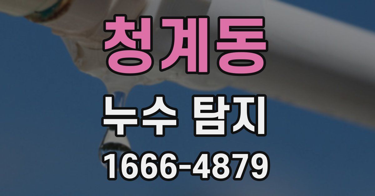 청계동 누수 탐지