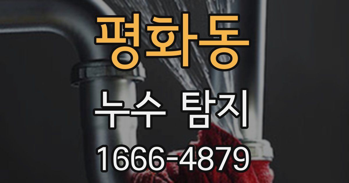 평화동 누수 탐지
