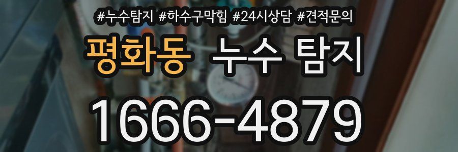 평화동 누수 탐지