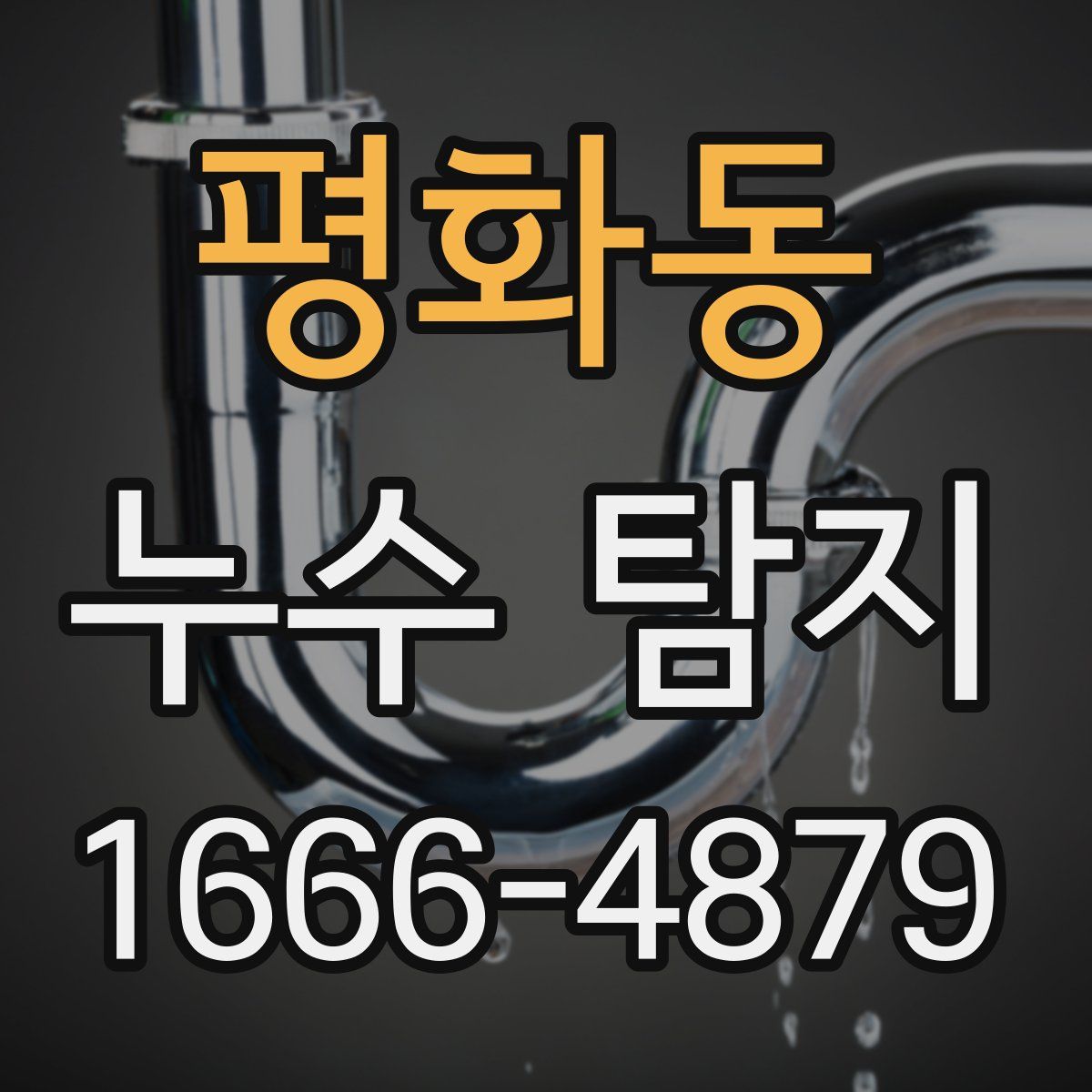 평화동 누수 탐지
