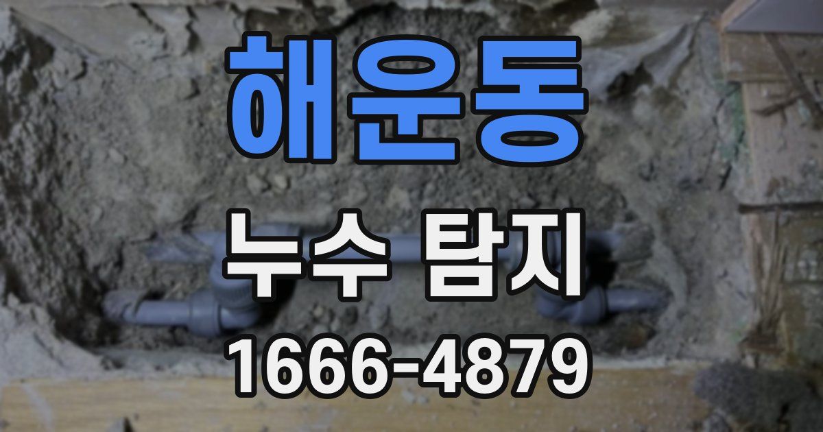 해운동 누수 탐지