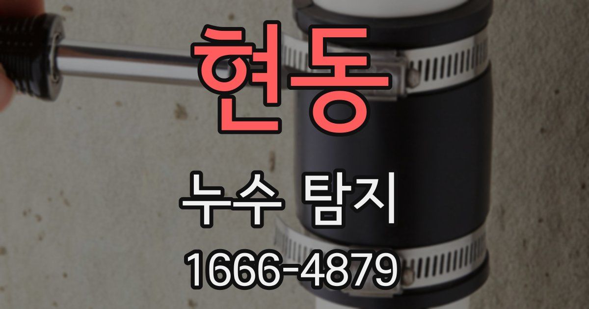 현동 누수 탐지