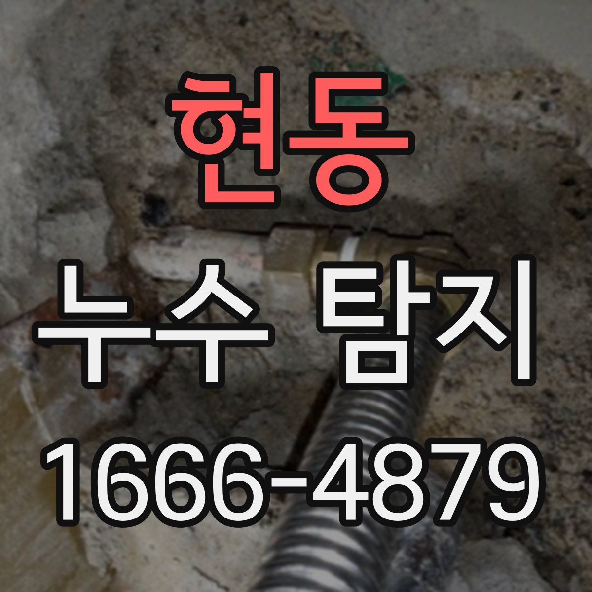 현동 누수 탐지