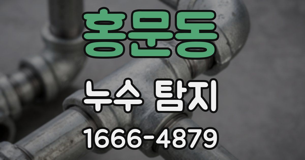 홍문동 누수 탐지