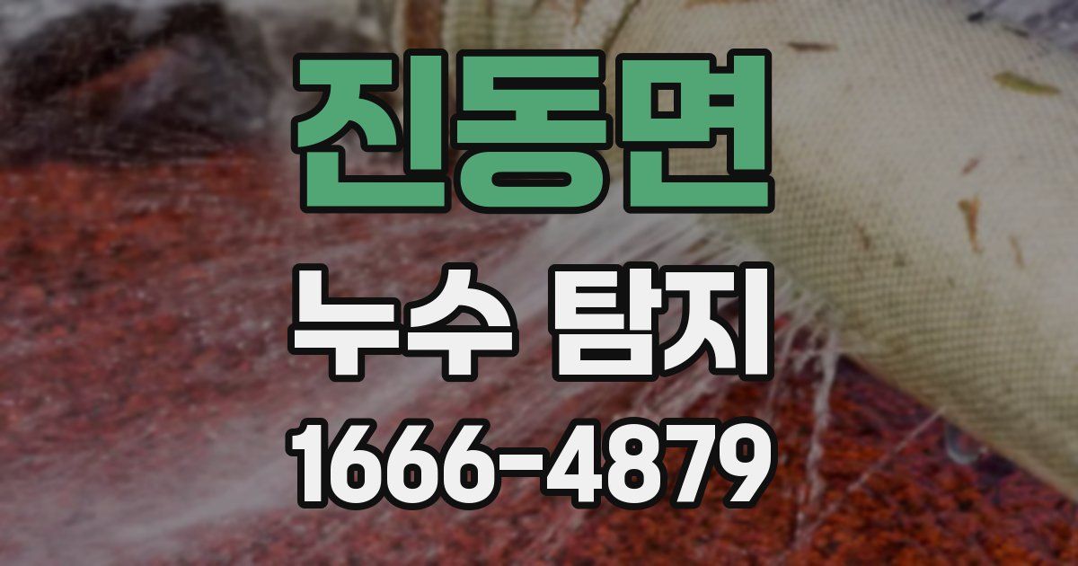 진동면 누수 탐지