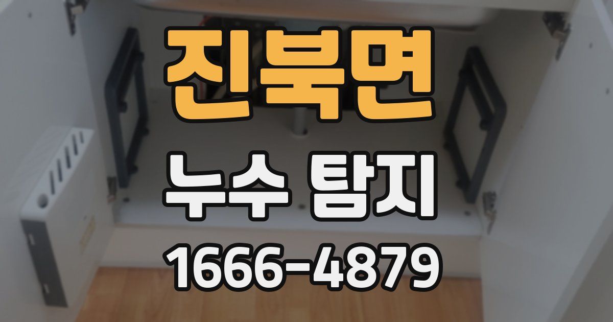 진북면 누수 탐지