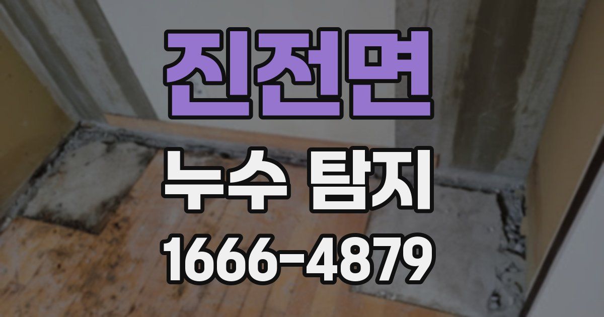 진전면 누수 탐지