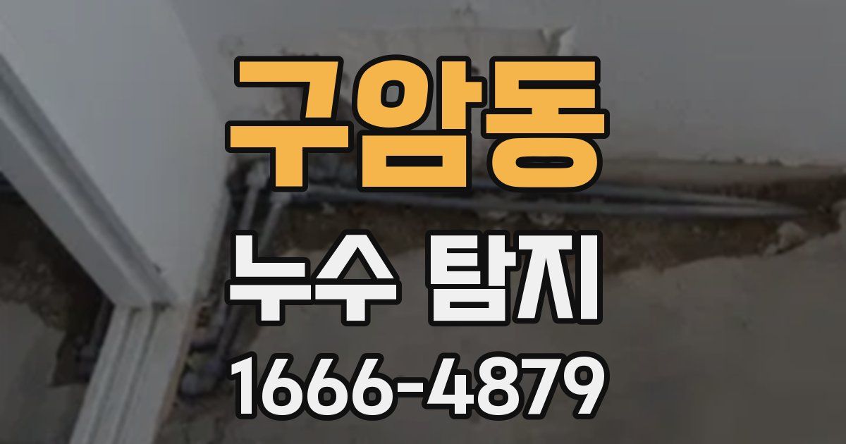 구암동 누수 탐지
