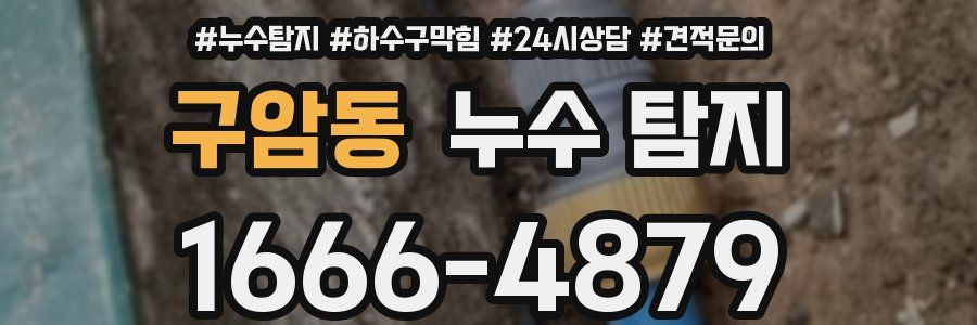 구암동 누수 탐지