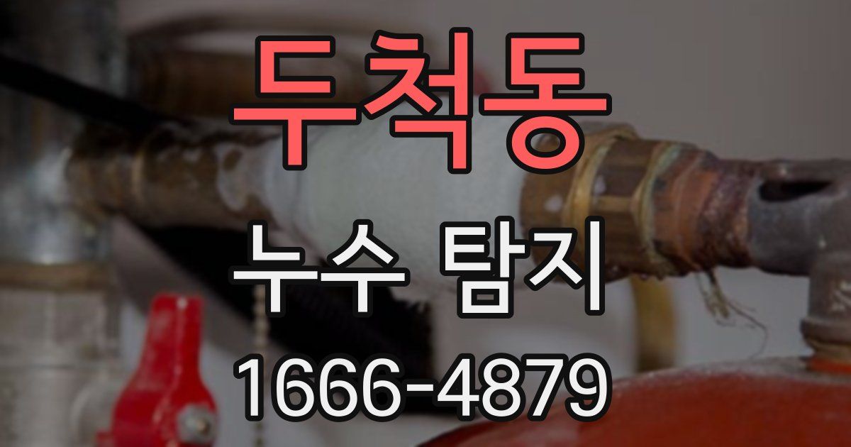 두척동 누수 탐지