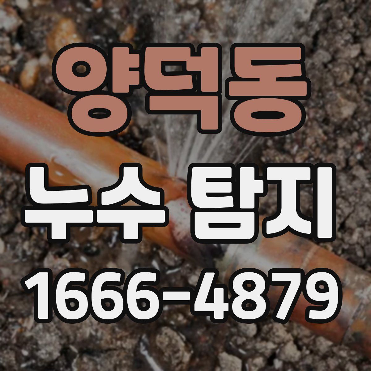 양덕동 누수 탐지