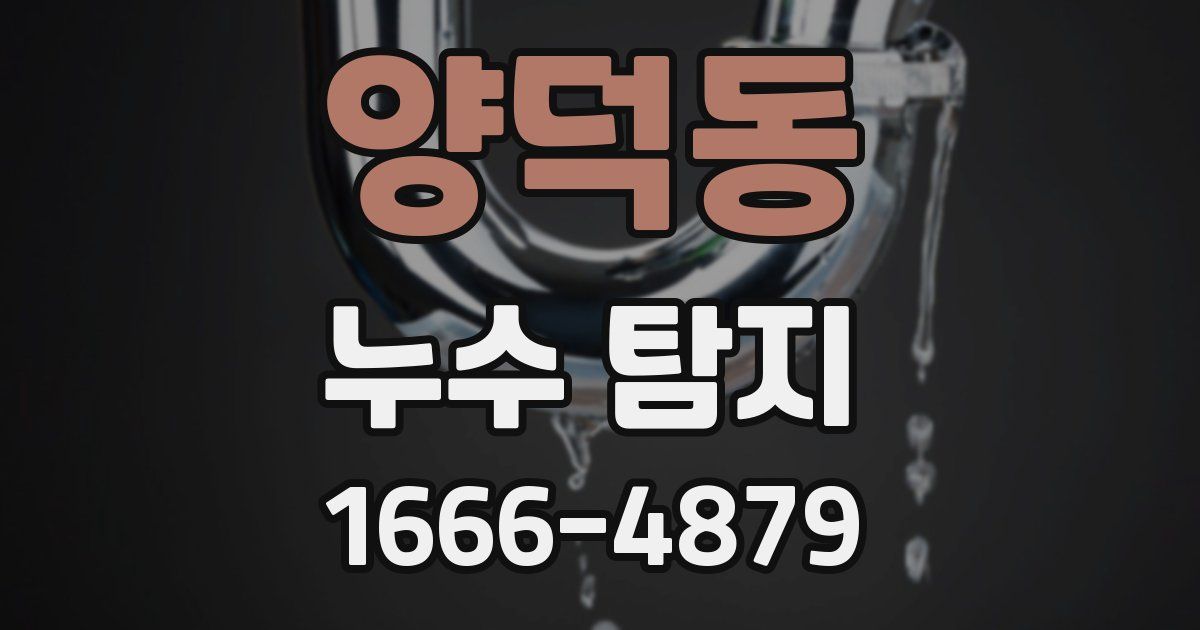 양덕동 누수 탐지