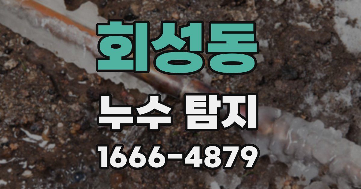회성동 누수 탐지
