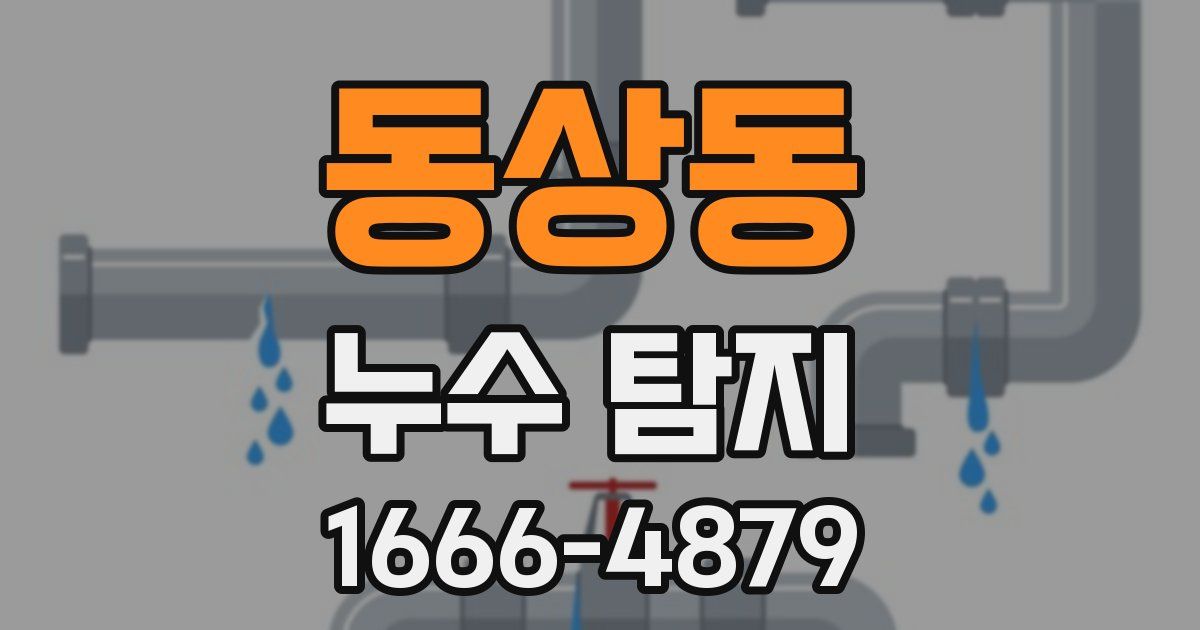 동상동 누수 탐지