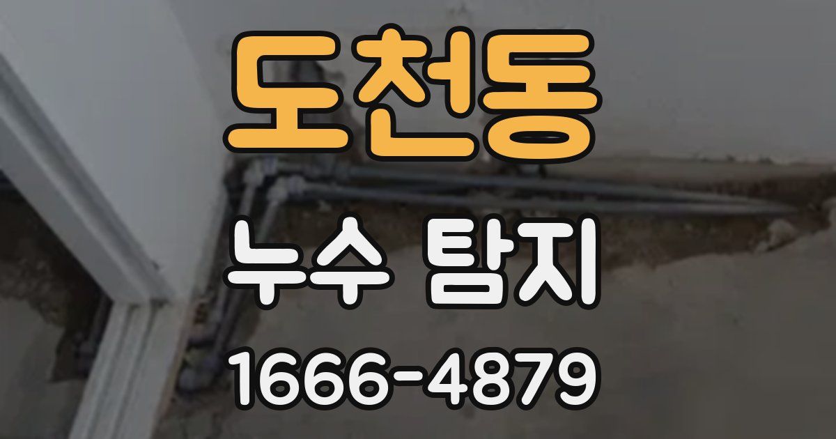 도천동 누수 탐지