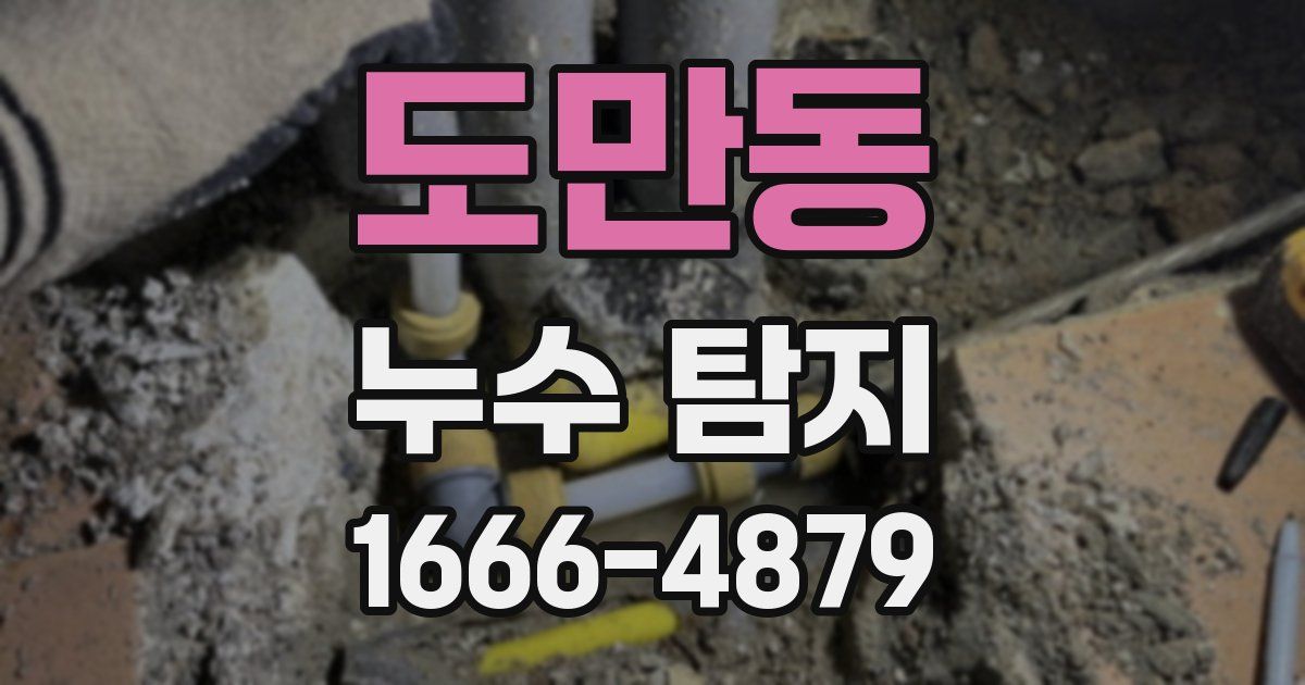 도만동 누수 탐지