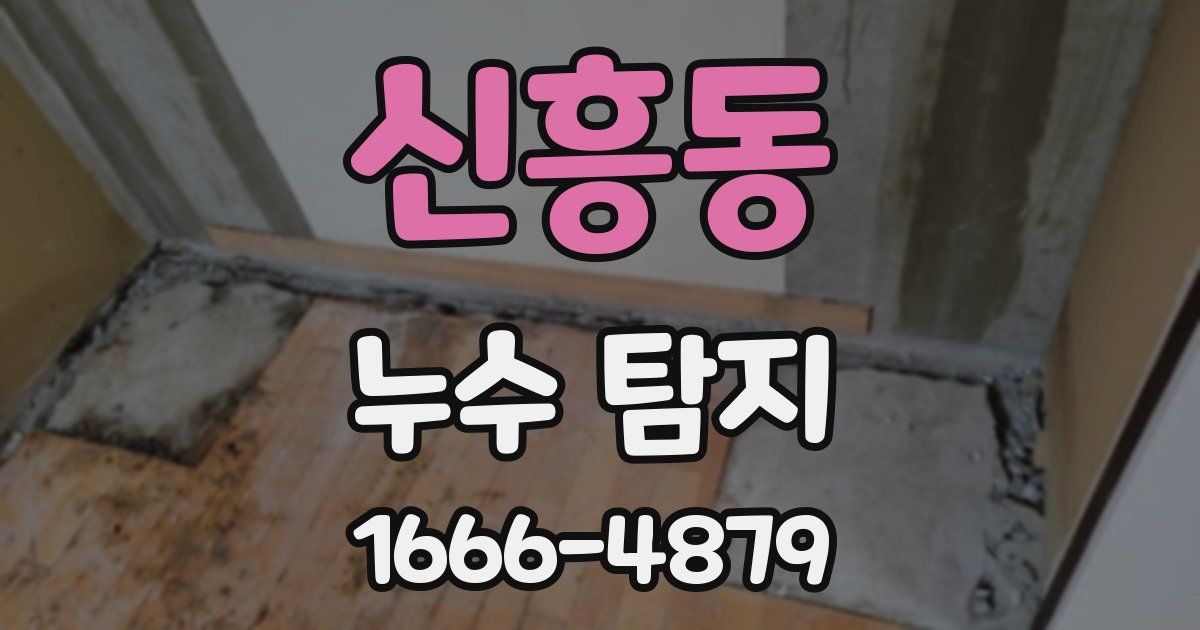 신흥동 누수 탐지