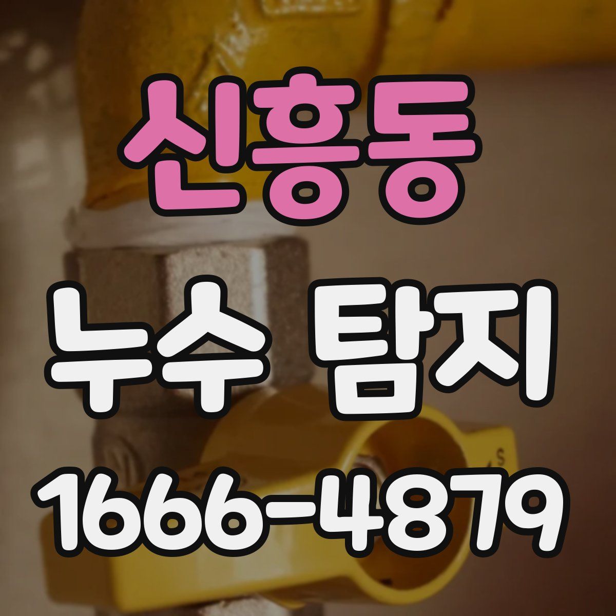 신흥동 누수 탐지