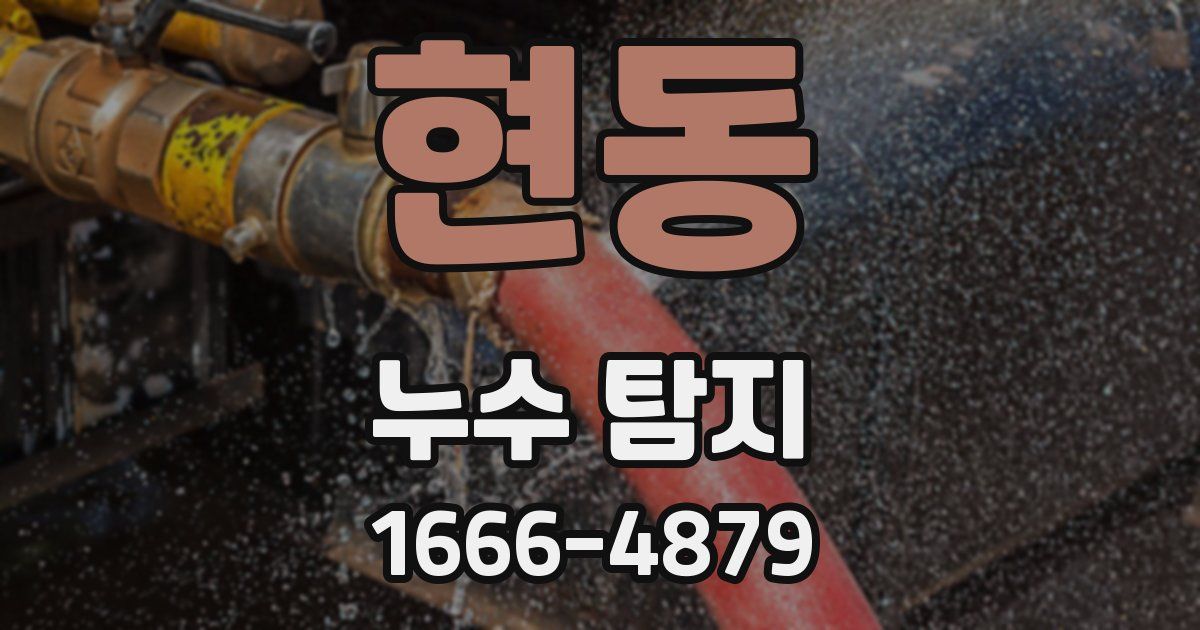 현동 누수 탐지