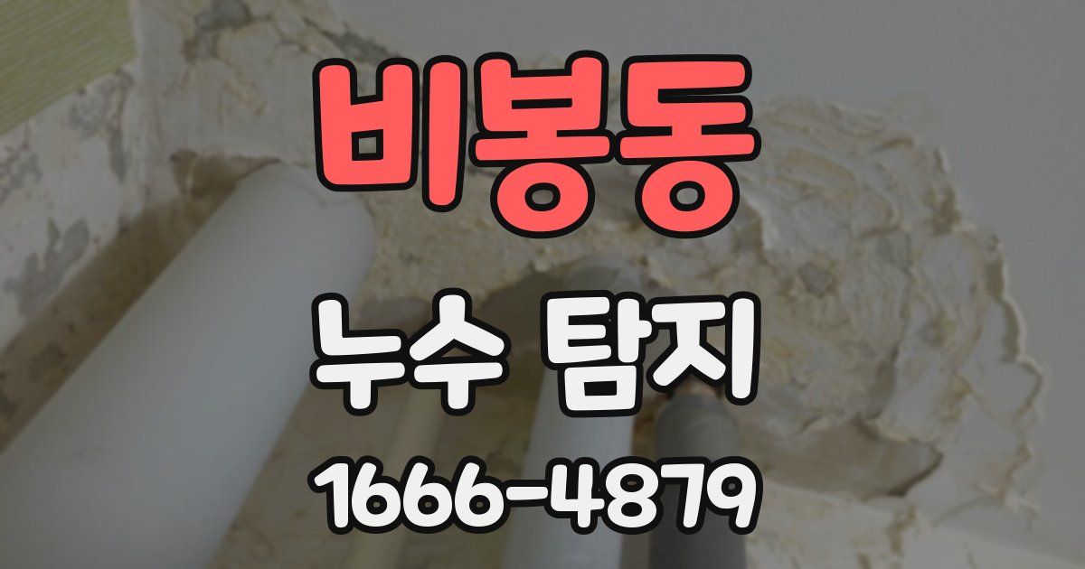 비봉동 누수 탐지