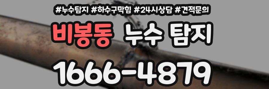 비봉동 누수 탐지
